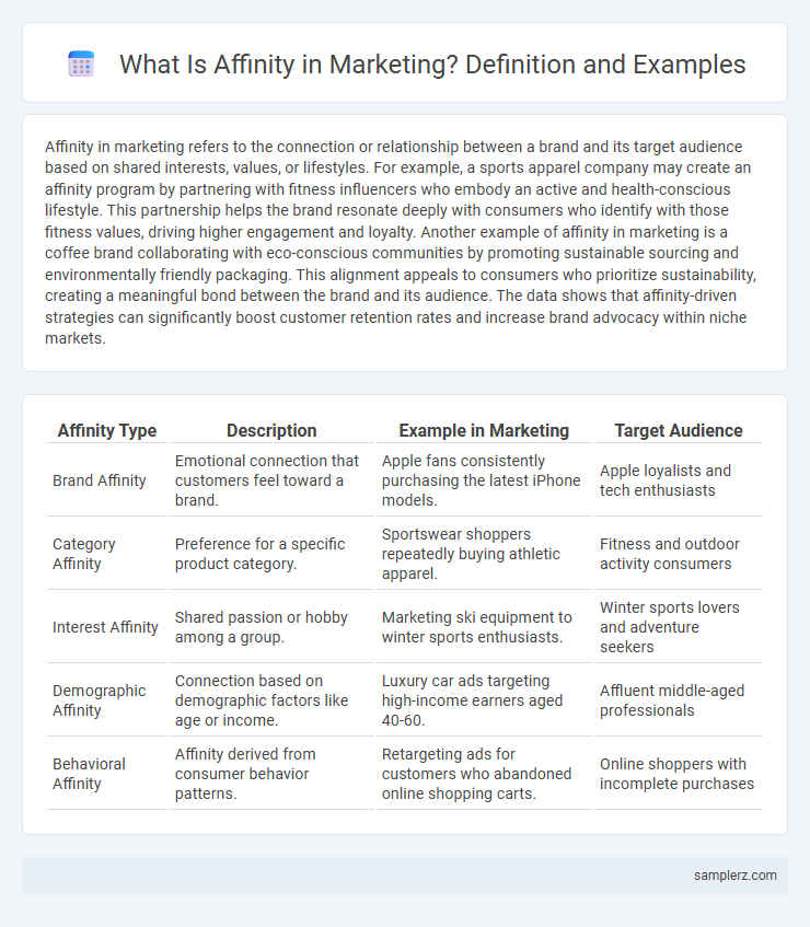 What Is Affinity in Marketing? Definition and Examples