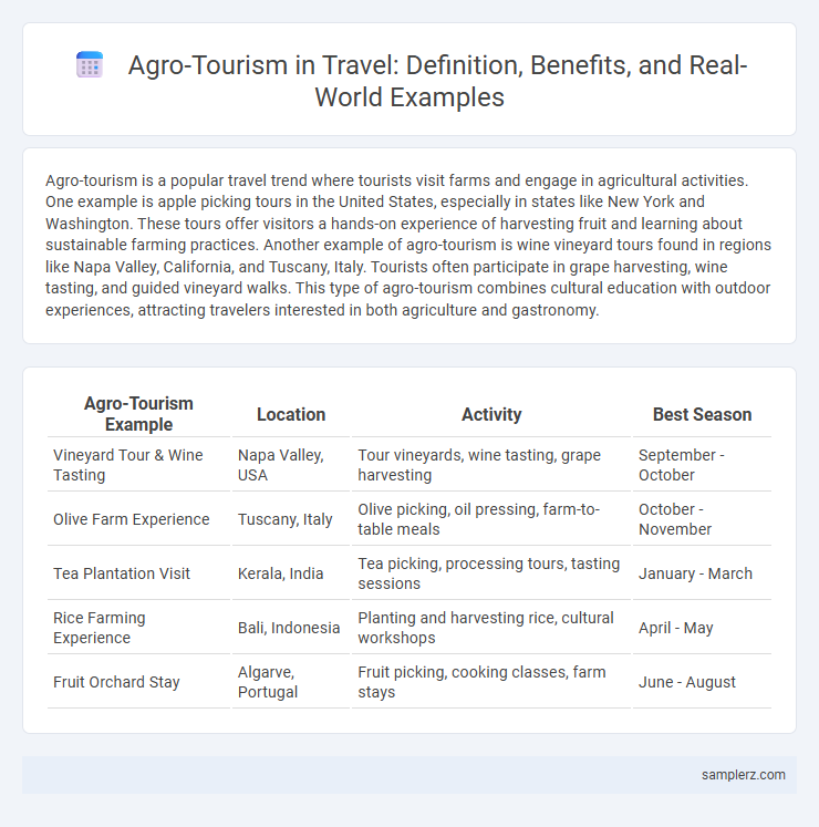 Agro-Tourism in Travel: Definition, Benefits, and Real-World Examples