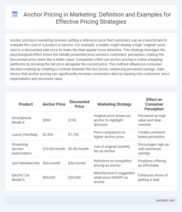 Anchor Pricing in Marketing: Definition and Examples for Effective Pricing Strategies