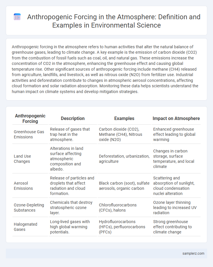 Anthropogenic Forcing in the Atmosphere: Definition and Examples in Environmental Science