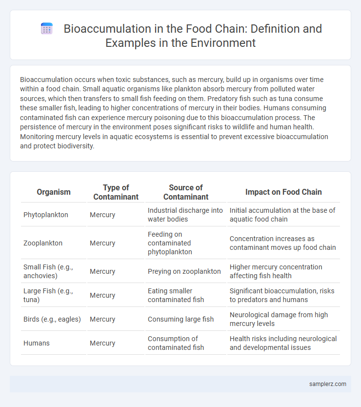 Bioaccumulation in the Food Chain: Definition and Examples in the Environment