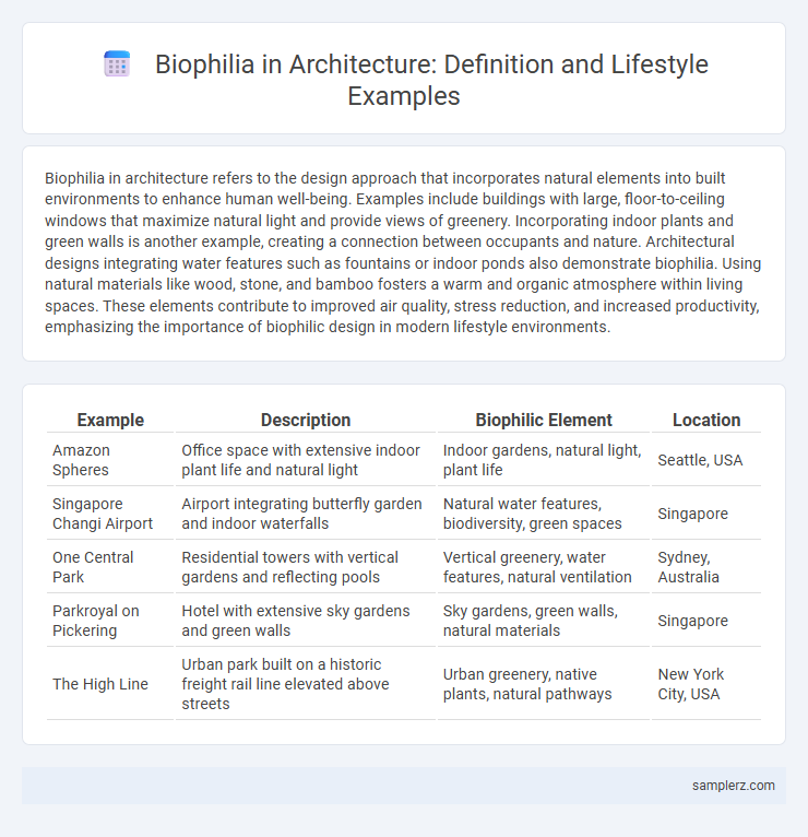 Biophilia in Architecture: Definition and Lifestyle Examples