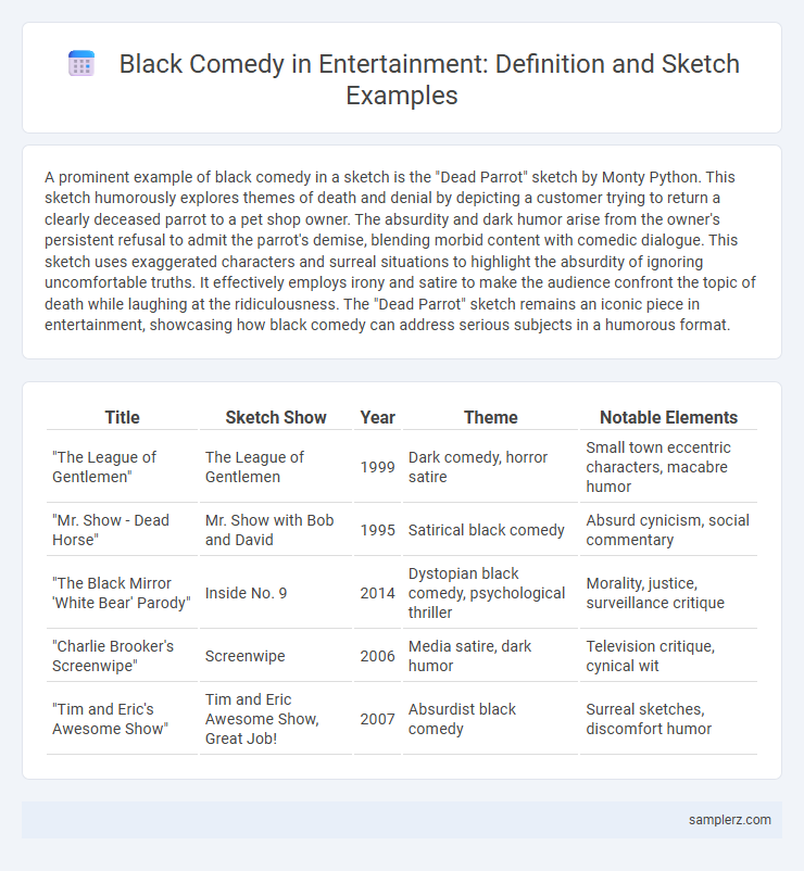 Black Comedy in Entertainment: Definition and Sketch Examples
