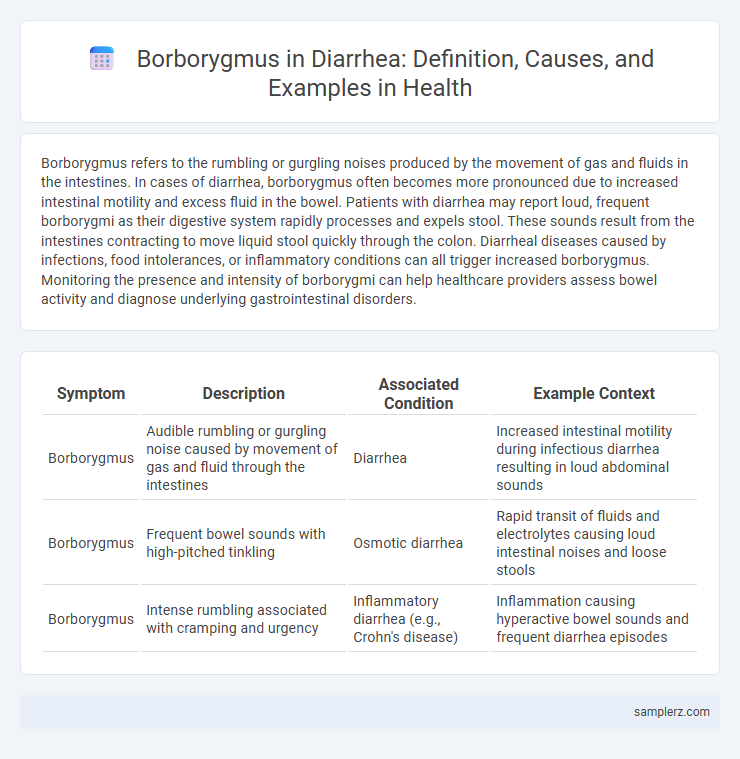Borborygmus in Diarrhea: Definition, Causes, and Examples in Health