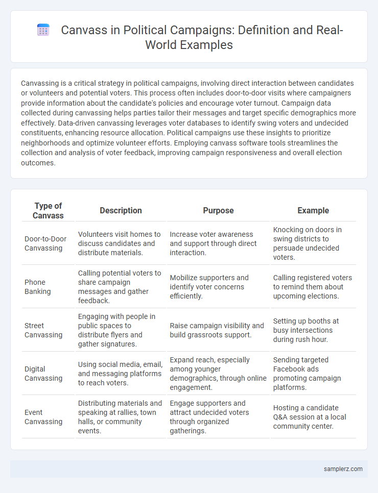 Canvass in Political Campaigns: Definition and Real-World Examples