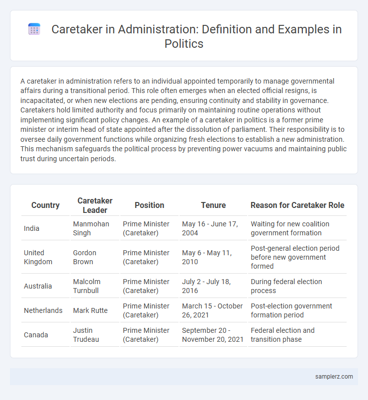 Caretaker in Administration: Definition and Examples in Politics