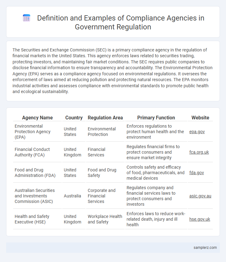 Definition and Examples of Compliance Agencies in Government Regulation