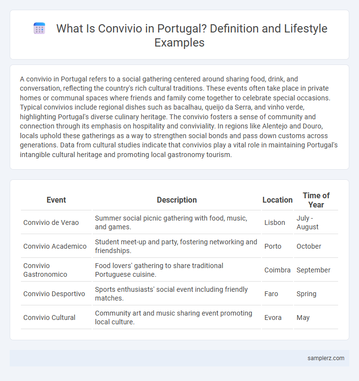 What Is Convivio in Portugal? Definition and Lifestyle Examples