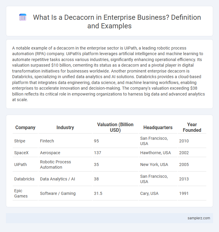 What Is a Decacorn in Enterprise Business? Definition and Examples