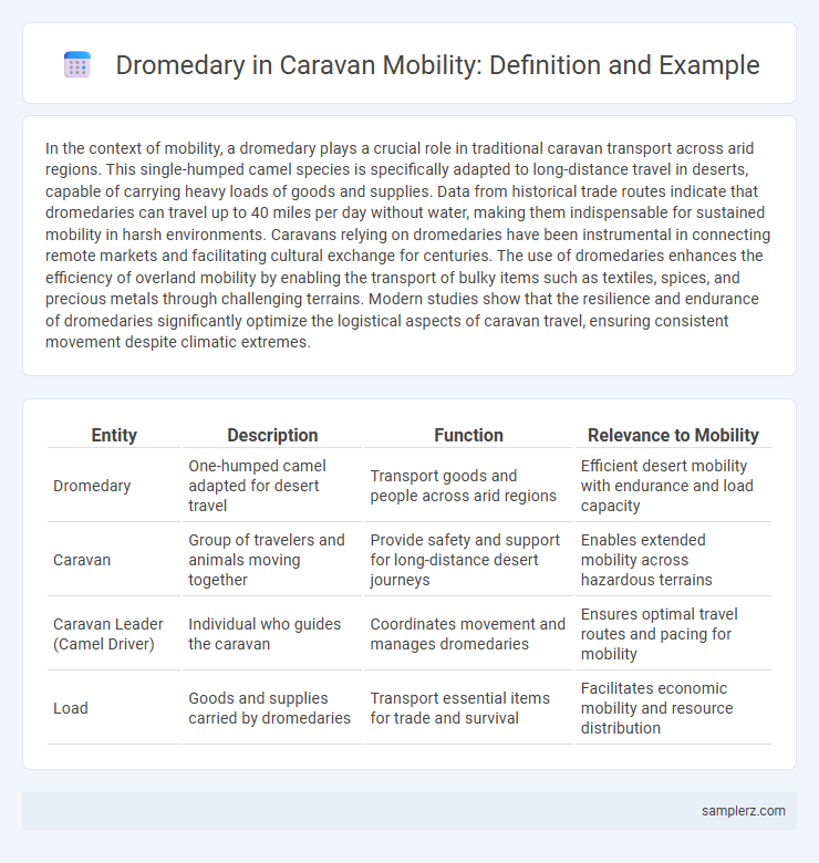 Dromedary in Caravan Mobility: Definition and Example