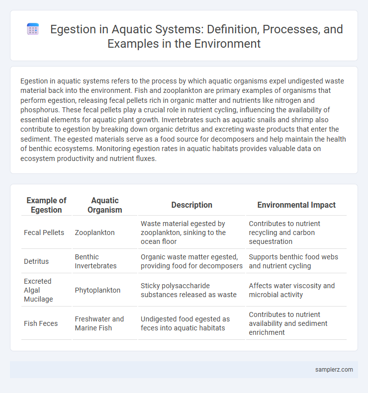 Egestion in Aquatic Systems: Definition, Processes, and Examples in the Environment