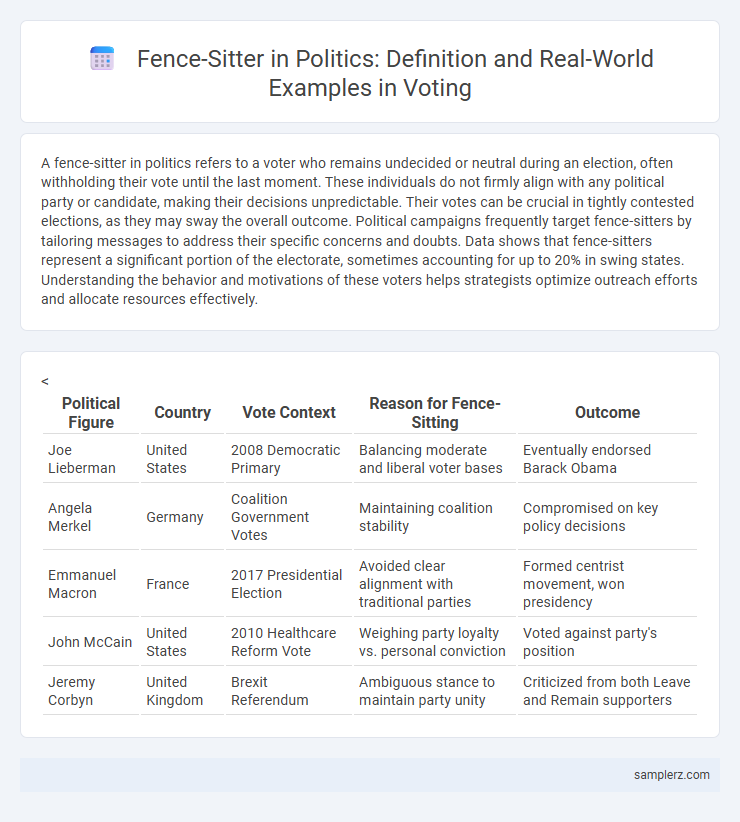 Fence-Sitter in Politics: Definition and Real-World Examples in Voting