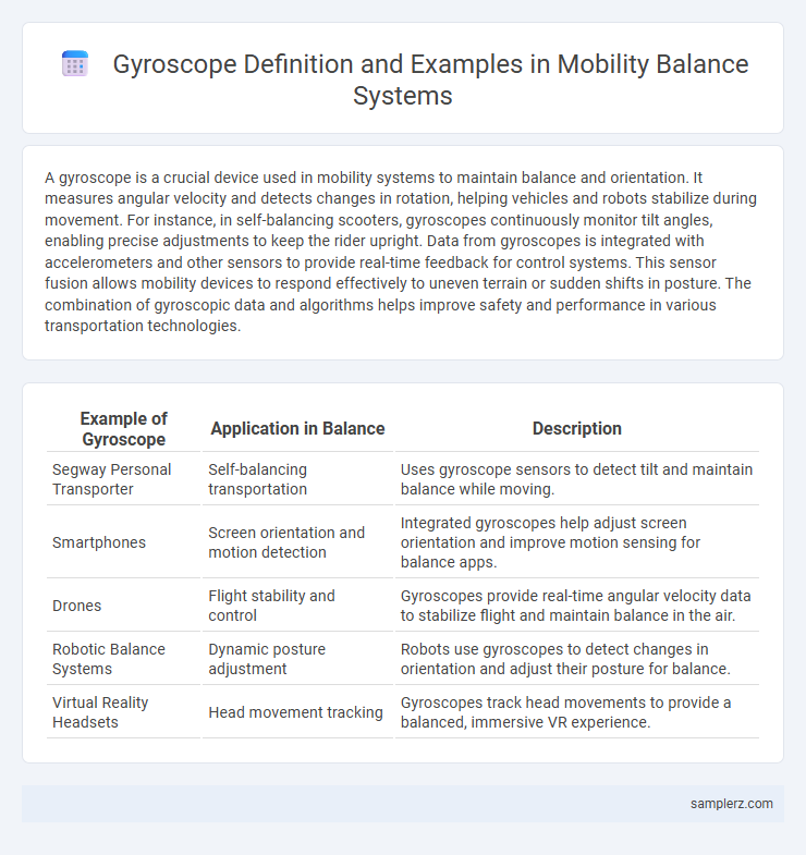 Gyroscope Definition and Examples in Mobility Balance Systems