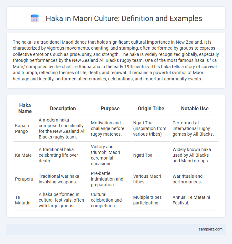 Haka in Maori Culture: Definition and Examples