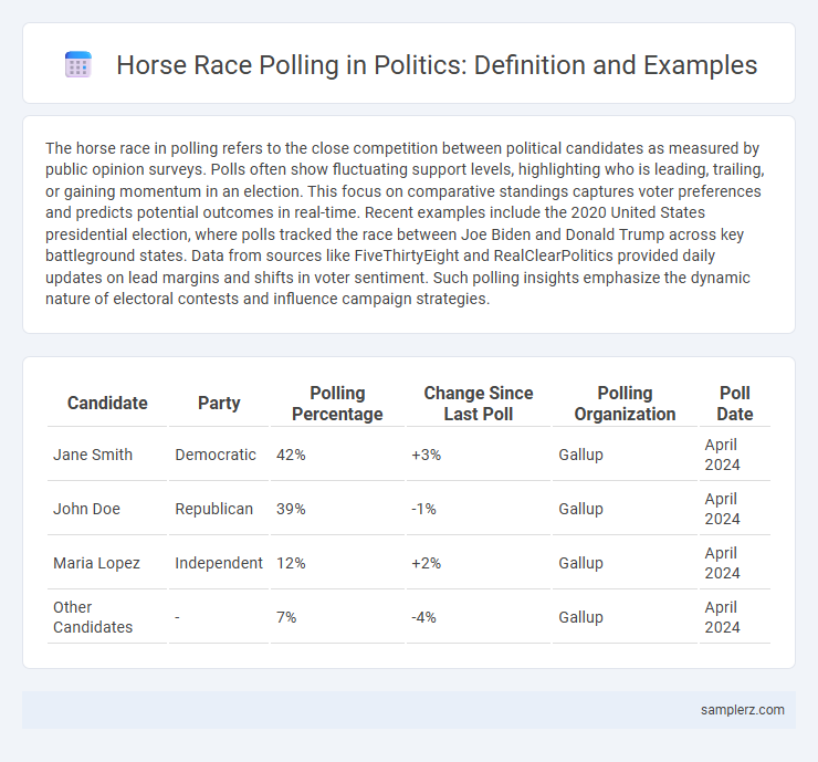 Horse Race Polling in Politics: Definition and Examples