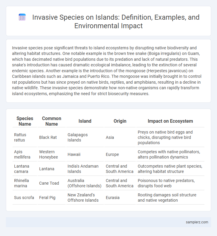 Invasive Species on Islands: Definition, Examples, and Environmental Impact
