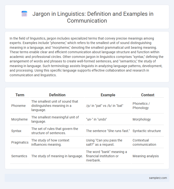 Jargon in Linguistics: Definition and Examples in Communication
