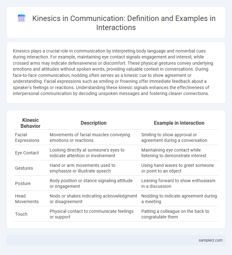 Kinesics in Communication: Definition and Examples in Interactions