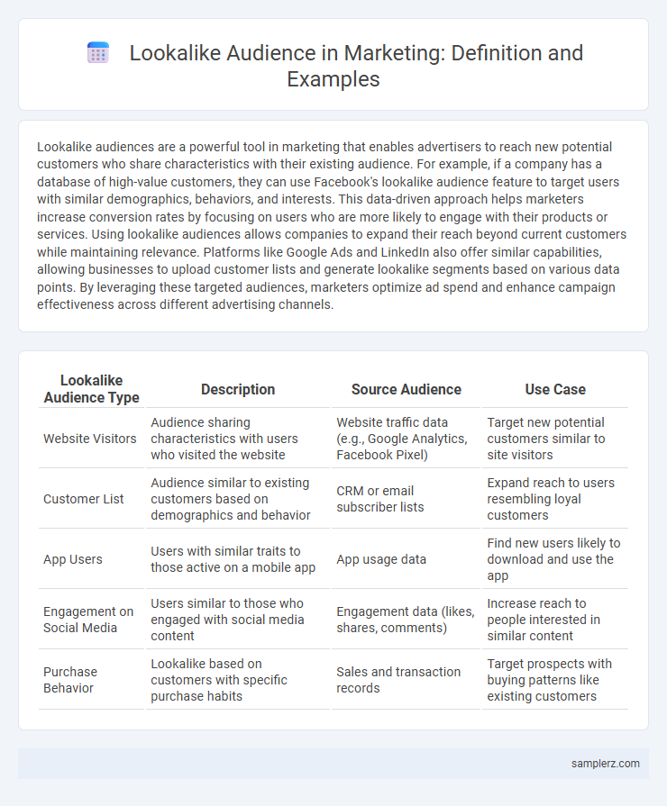 Lookalike Audience in Marketing: Definition and Examples