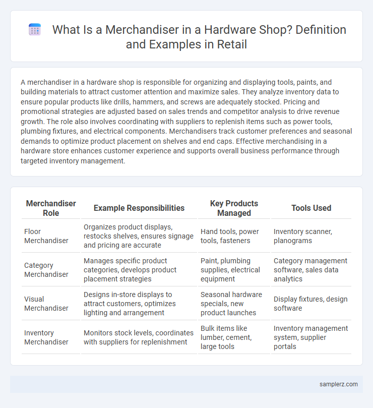What Is a Merchandiser in a Hardware Shop? Definition and Examples in Retail
