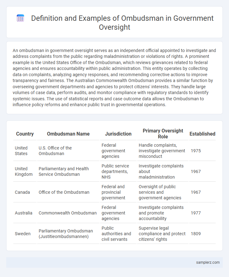 Definition and Examples of Ombudsman in Government Oversight
