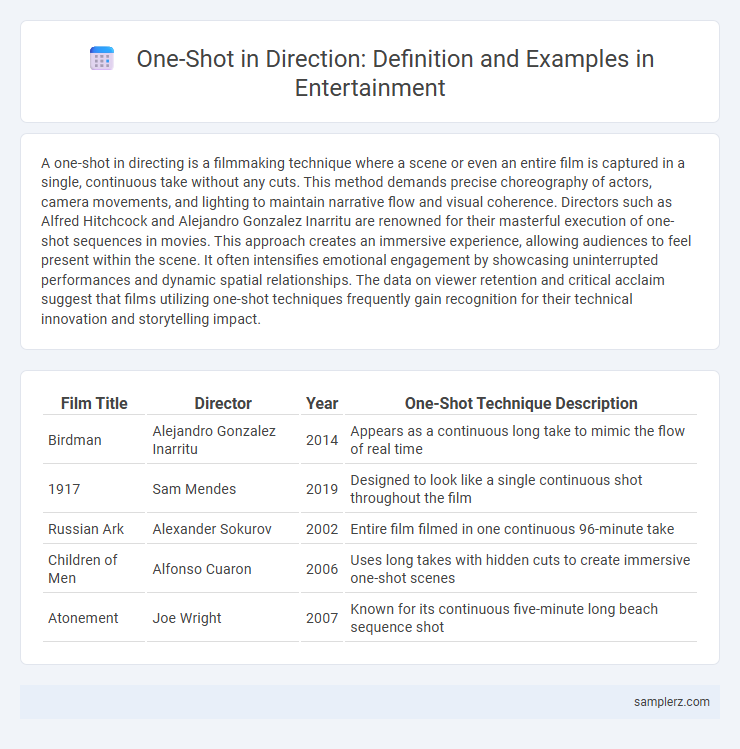 One-Shot in Direction: Definition and Examples in Entertainment