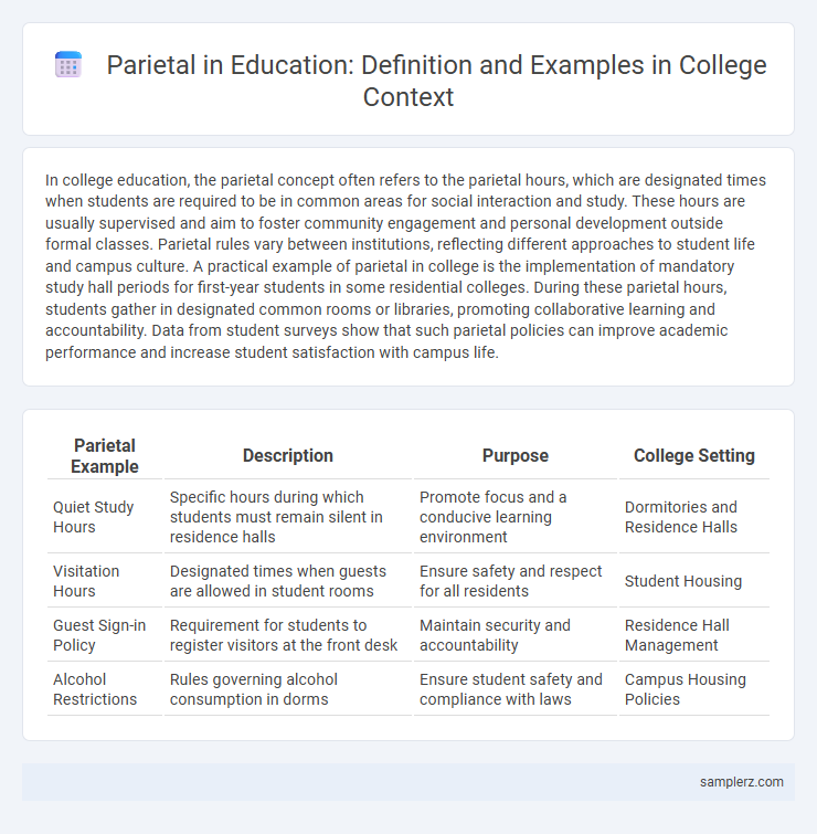 Parietal in Education: Definition and Examples in College Context