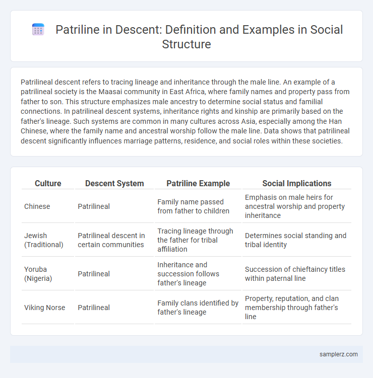 Patriline in Descent: Definition and Examples in Social Structure