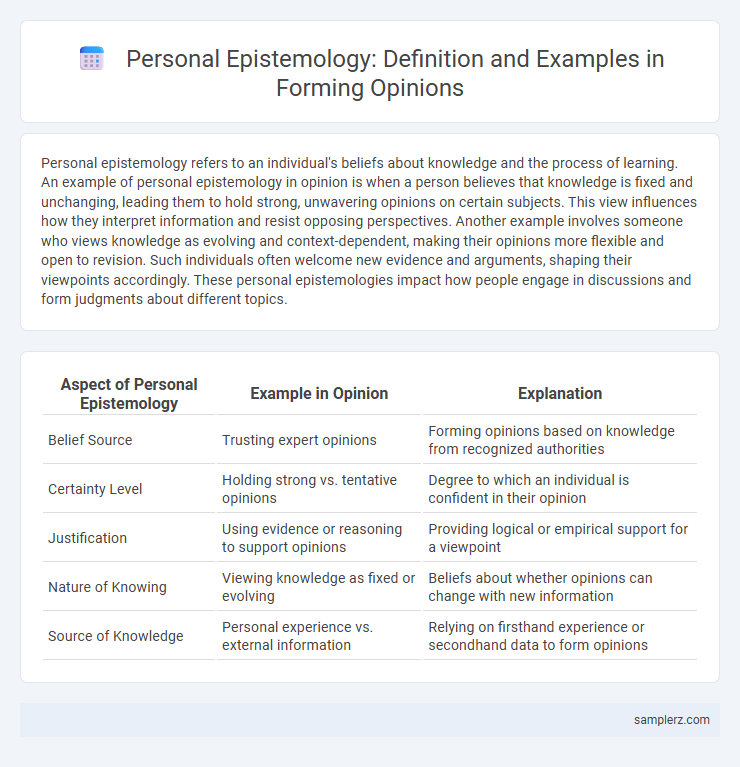 Personal Epistemology: Definition and Examples in Forming Opinions