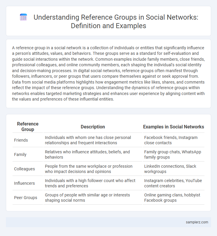Understanding Reference Groups in Social Networks: Definition and Examples