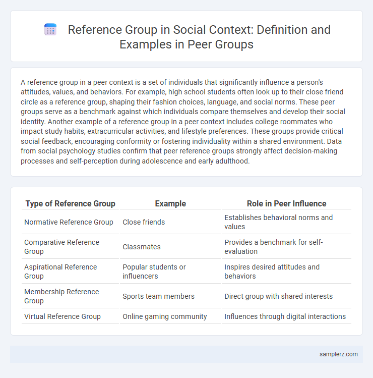Reference Group in Social Context: Definition and Examples in Peer Groups