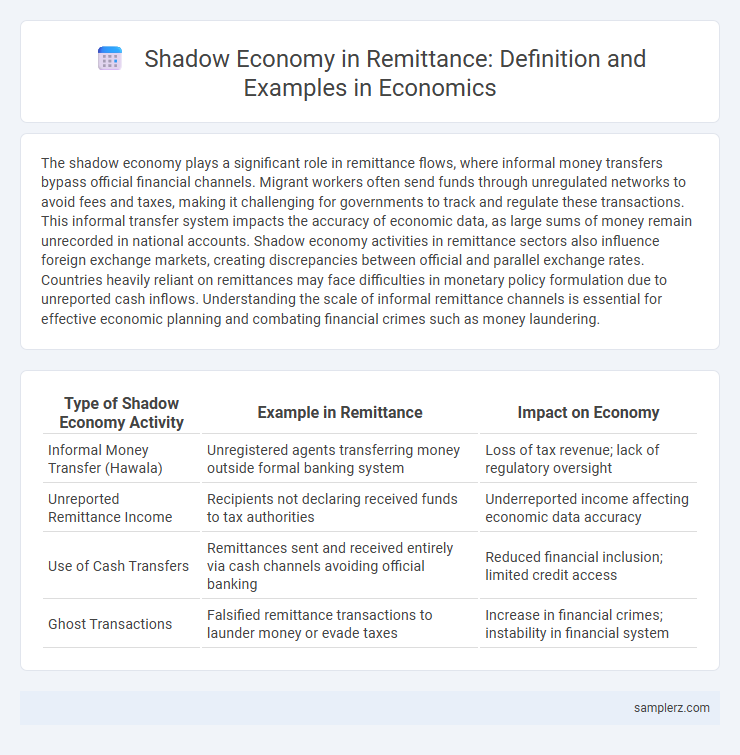 Shadow Economy in Remittance: Definition and Examples in Economics