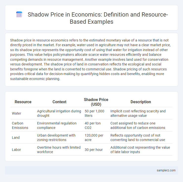 Shadow Price in Economics: Definition and Resource-Based Examples