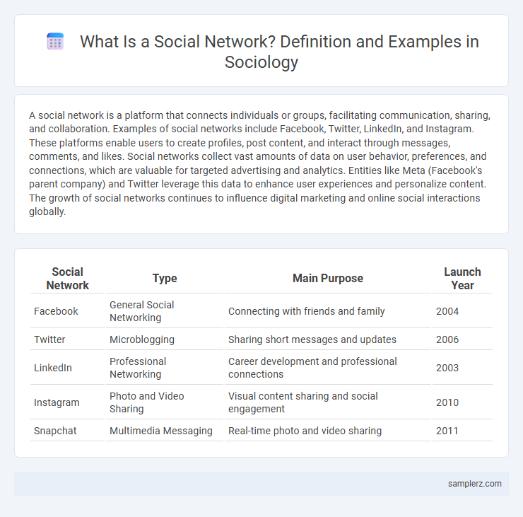 What Is a Social Network? Definition and Examples in Sociology