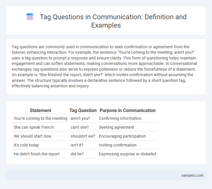 Tag Questions in Communication: Definition and Examples