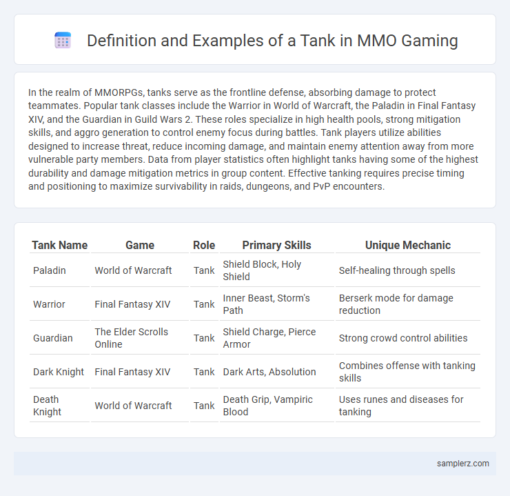 Definition and Examples of a Tank in MMO Gaming