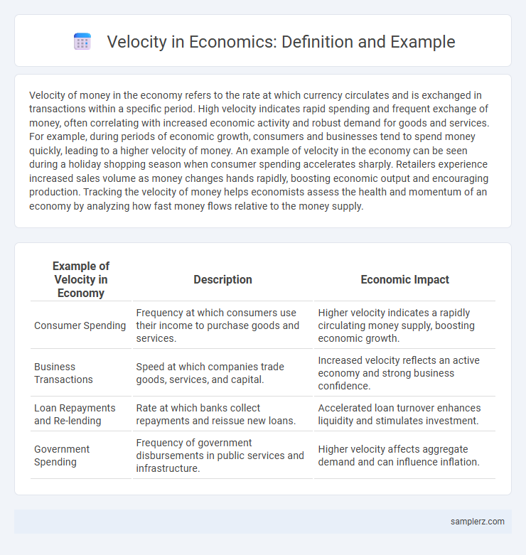 Velocity in Economics: Definition and Example