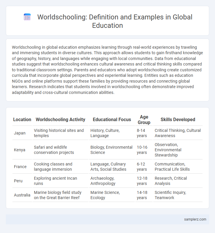 Worldschooling: Definition and Examples in Global Education