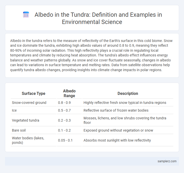 Albedo in the Tundra: Definition and Examples in Environmental Science