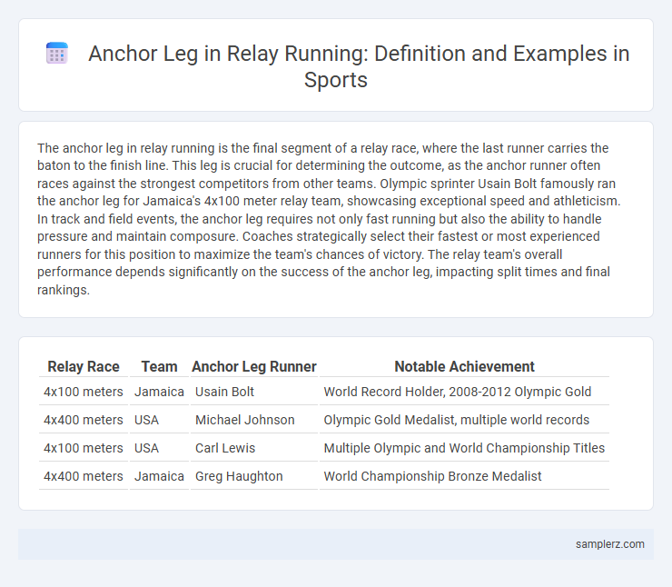 Anchor Leg in Relay Running: Definition and Examples in Sports