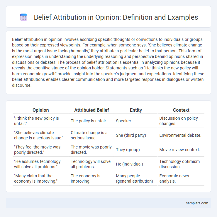 Belief Attribution in Opinion: Definition and Examples