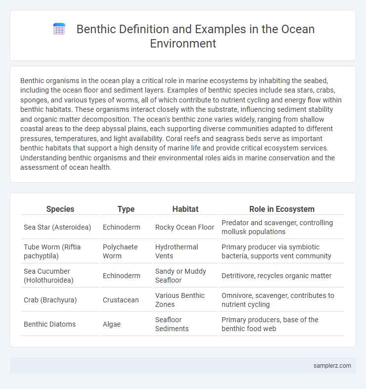 Benthic Definition and Examples in the Ocean Environment