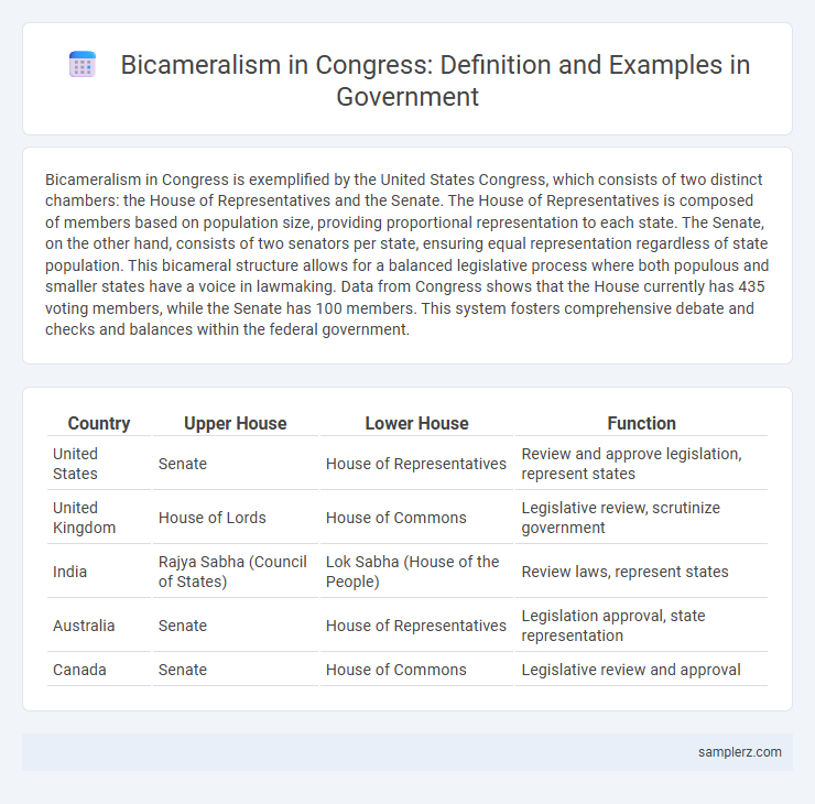 Bicameralism in Congress: Definition and Examples in Government