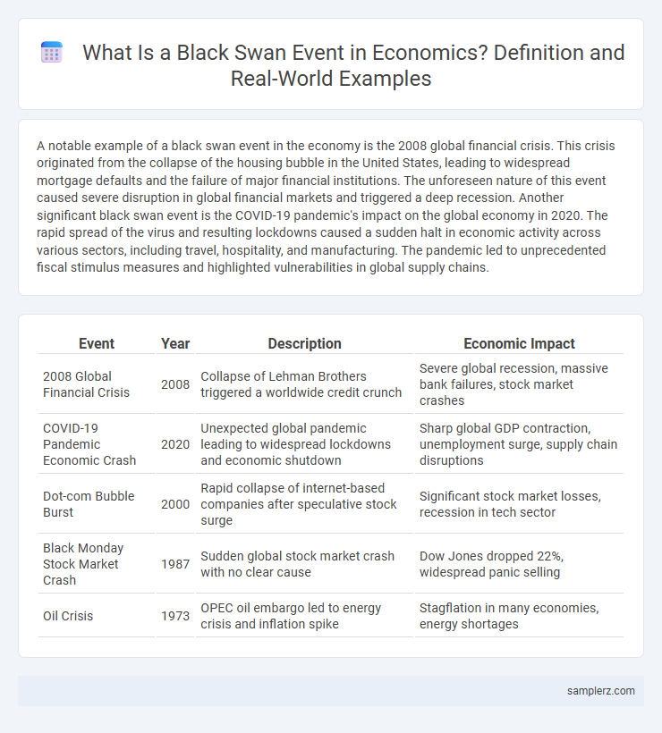 What Is a Black Swan Event in Economics? Definition and Real-World Examples