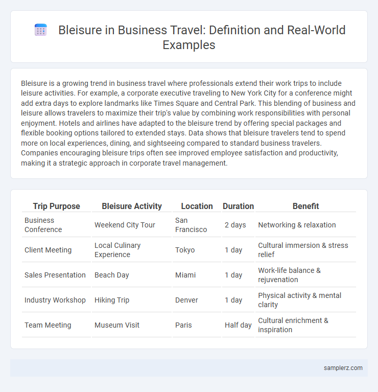 Bleisure in Business Travel: Definition and Real-World Examples