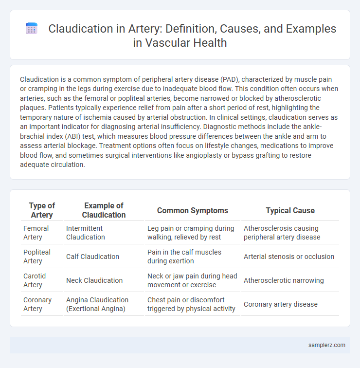 Claudication in Artery: Definition, Causes, and Examples in Vascular Health
