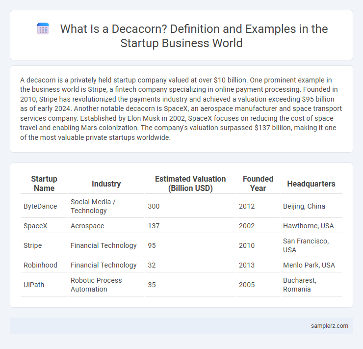 What Is a Decacorn? Definition and Examples in the Startup Business World