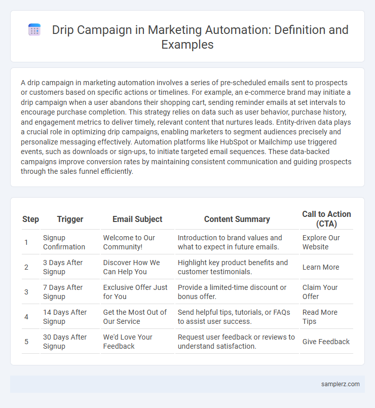 Drip Campaign in Marketing Automation: Definition and Examples