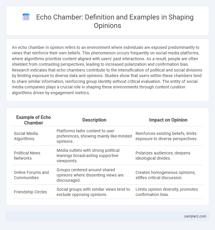 Echo Chamber: Definition and Examples in Shaping Opinions