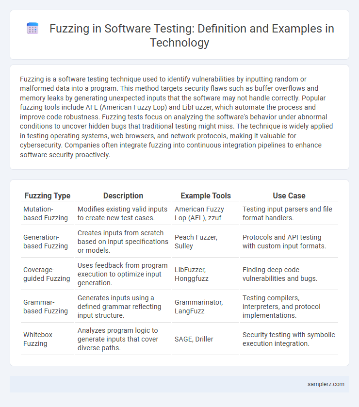 Fuzzing in Software Testing: Definition and Examples in Technology